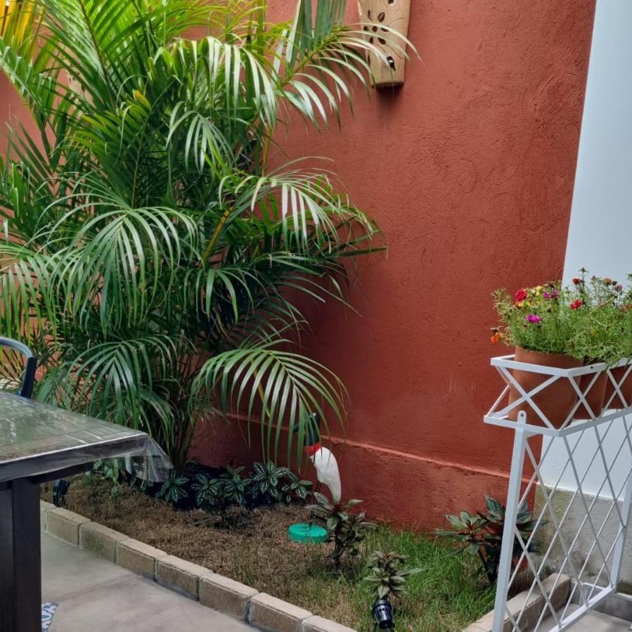 Perola De Bombinhas Hotel Kültér fotó